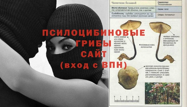 тгк Каменск-Шахтинский